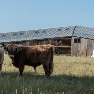 Ferme-Bastien-et-Sam-YC-00286