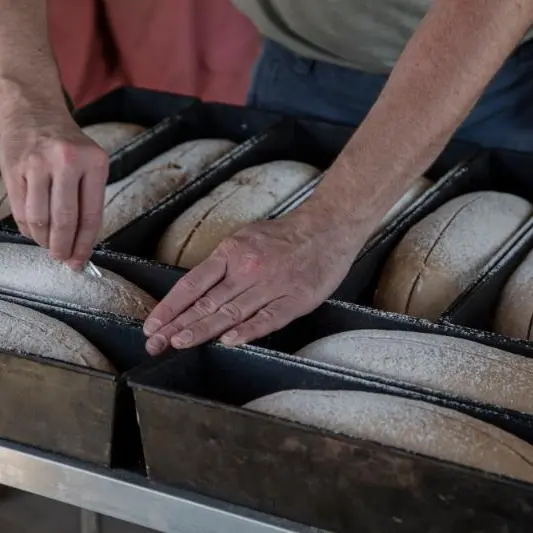 Ferme-Bastien-et-Sam-YC-01232