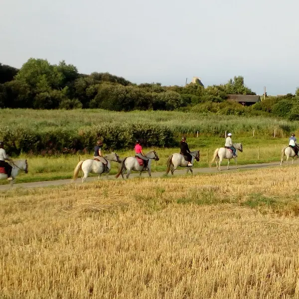Centre équestre Ty Marc'h - Pouldreuzic - Bigoudenjoy