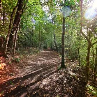 Rando Le Bois de Roscouré - Combrit - Pays Bigouden
