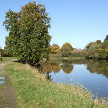Forêt Domaniale du Mesnil