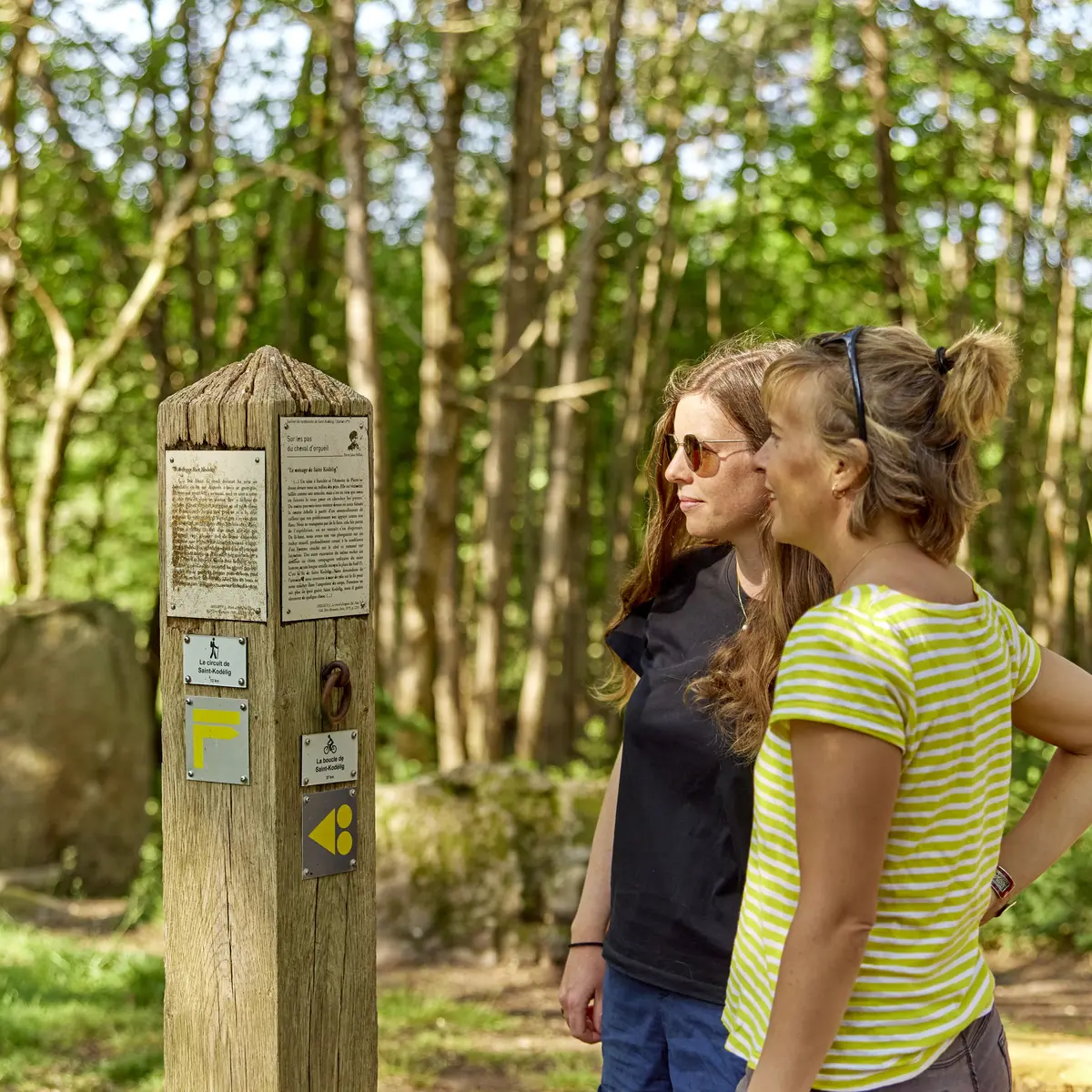 Menhirs Saint Kodelig à Plovan en Pays Bigouden
