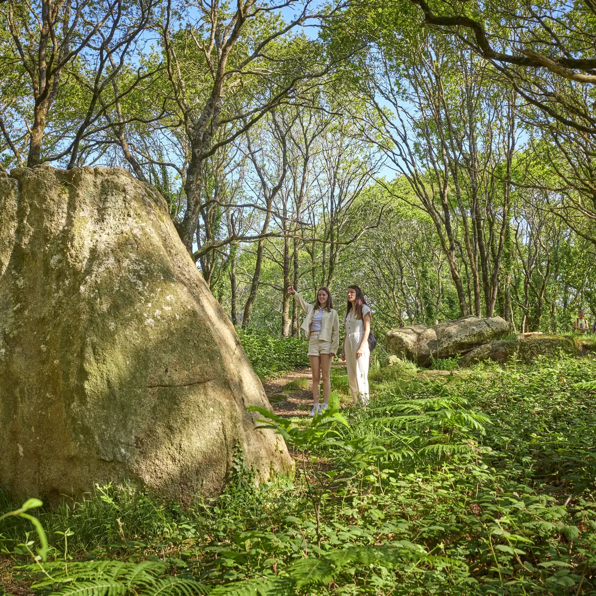Menhirs Saint Kodelig à Plovan en Pays Bigouden