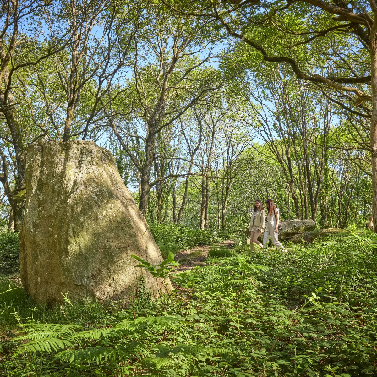 Boucle VTT n°5 Saint-Kodelig - Pouldreuzic - Pays bigouden