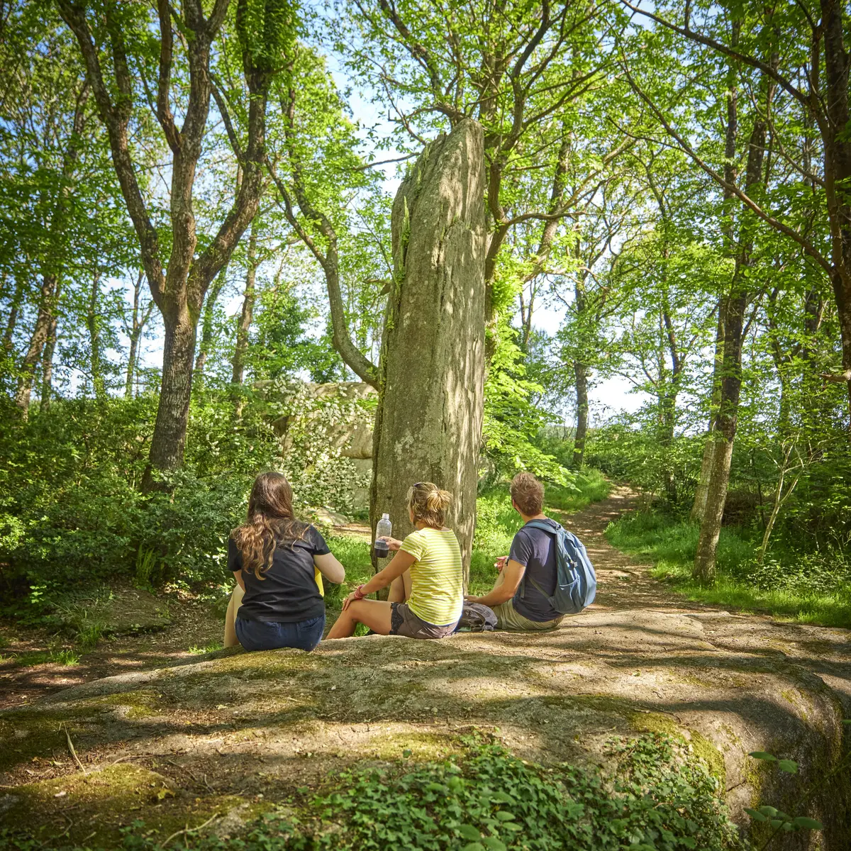 Menhirs Lespurit Ellen à Plovan en Pays Bigouden