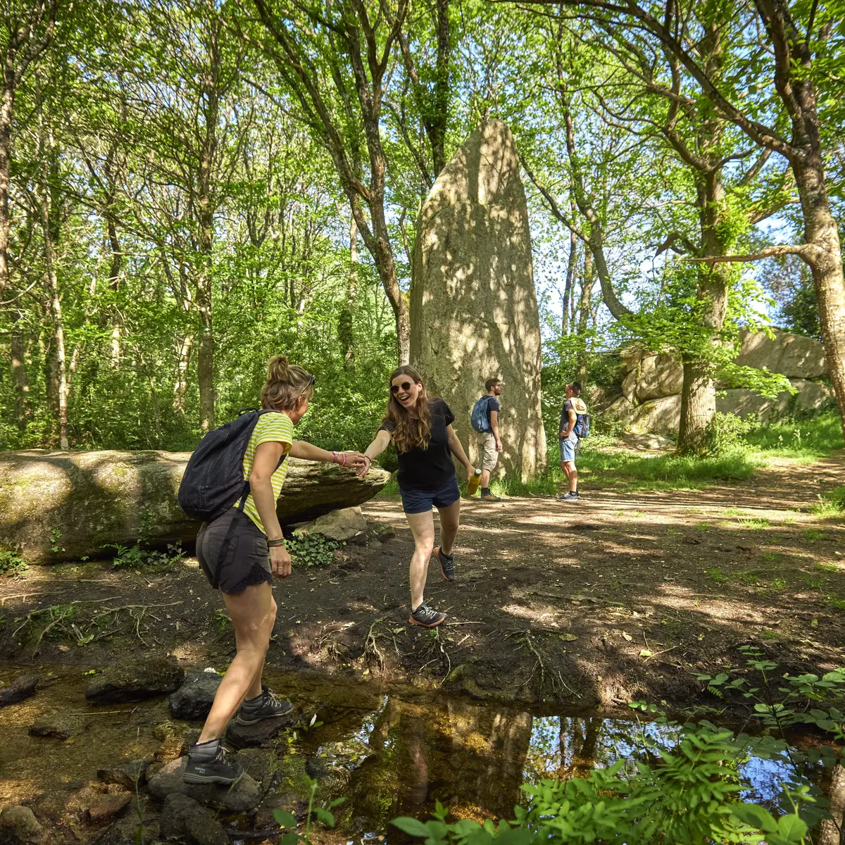 Menhirs Lespurit Ellen à Plovan en Pays Bigouden
