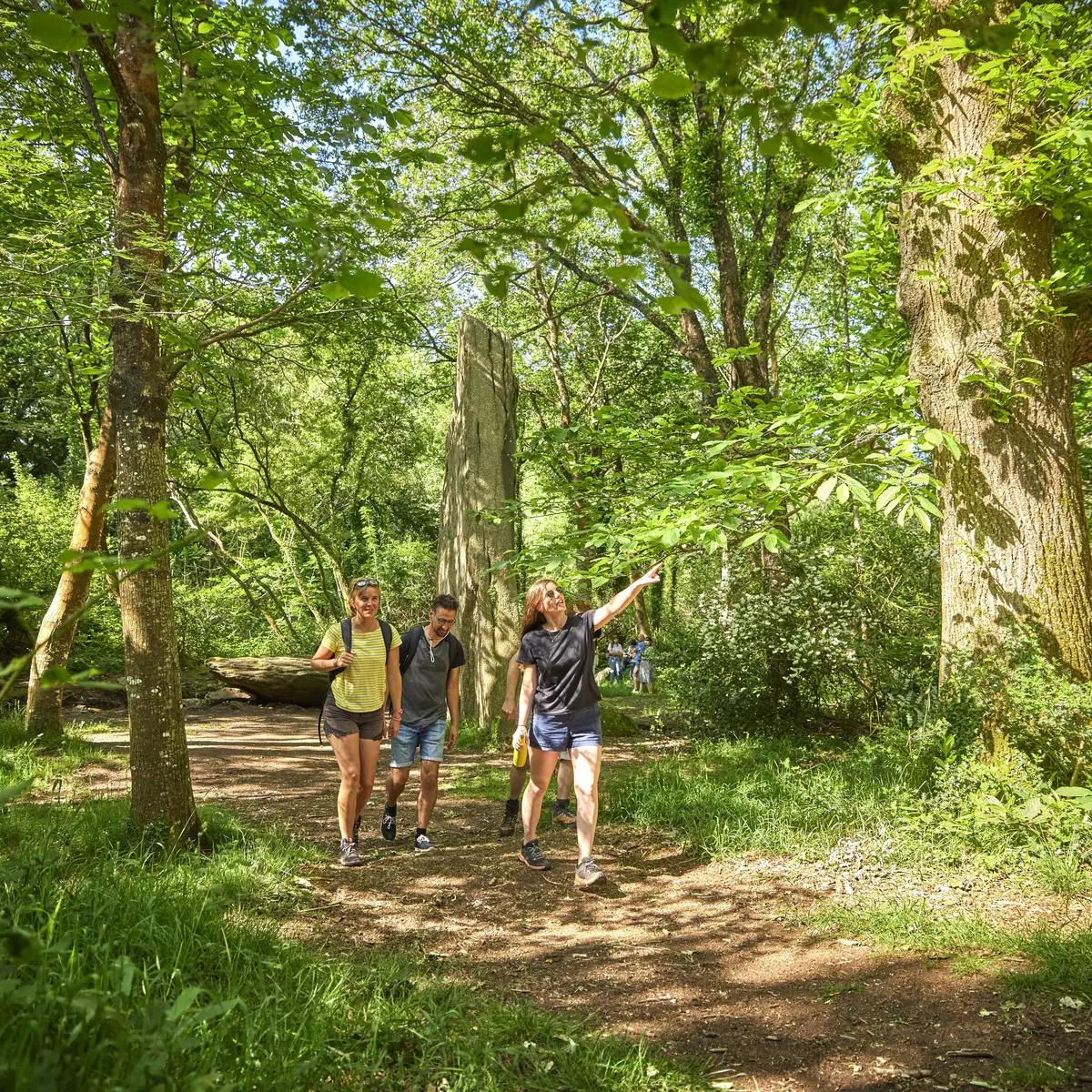 Menhirs Lespurit Ellen à Plovan en Pays Bigouden