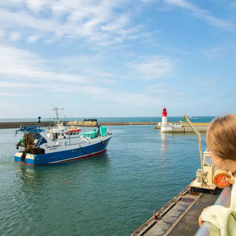 Haliotika - Guilvinec - Pays bigouden