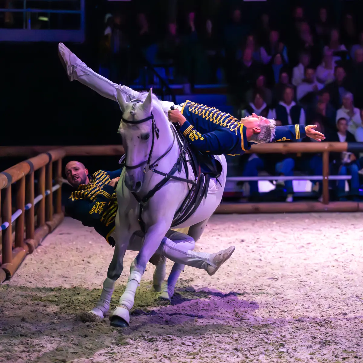Haras National Hennebont©Lorient Agglo - N. Saint-Maur