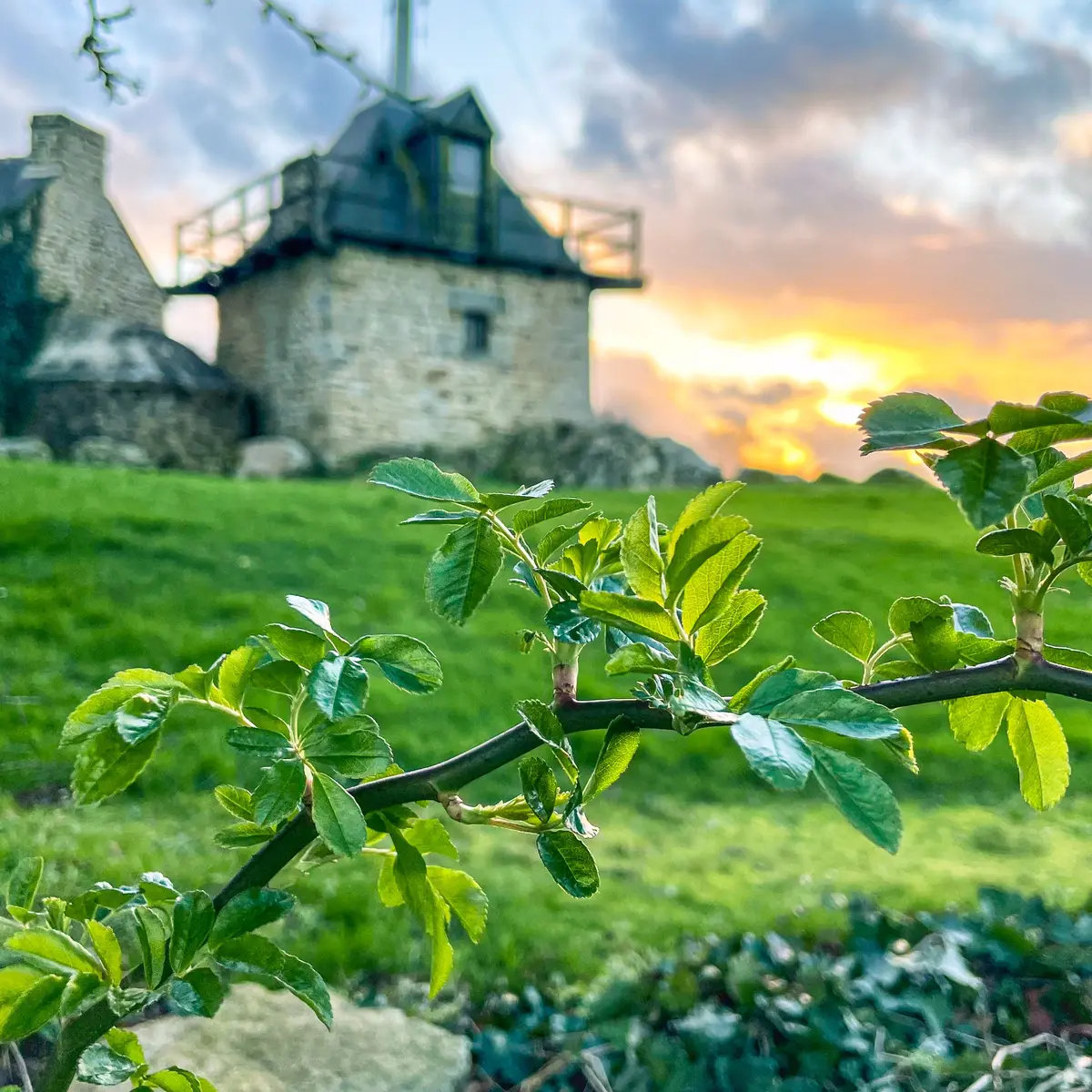 La Crêperie du Télégraphe -vue de la terrasse