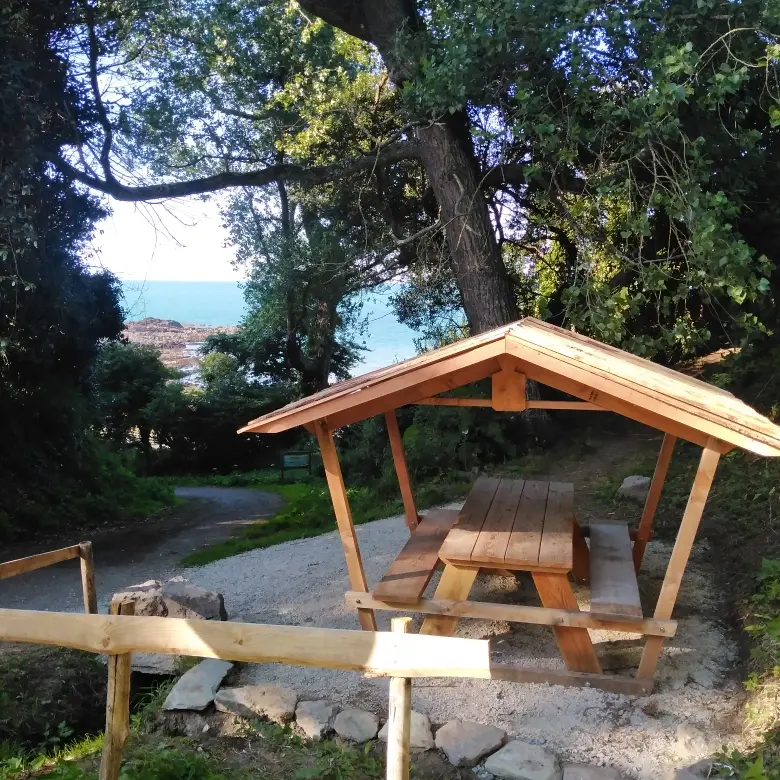 IMG_20240728_190406_resized_20240730_043250050