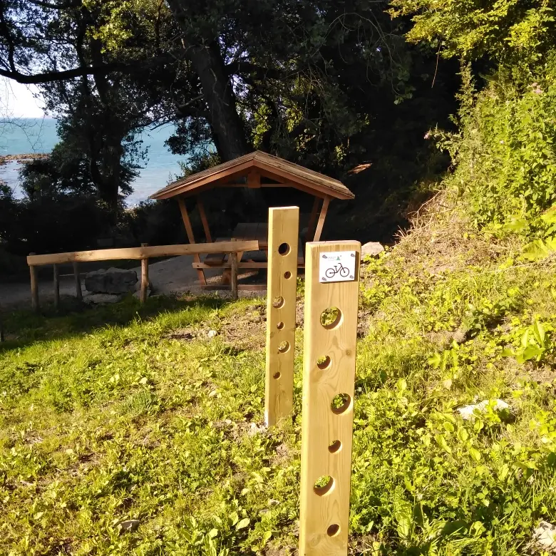 IMG_20240728_191137_resized_20240730_043249533