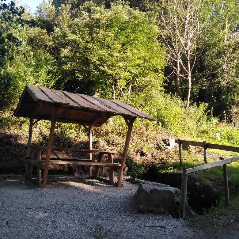 IMG_20240728_191202_resi