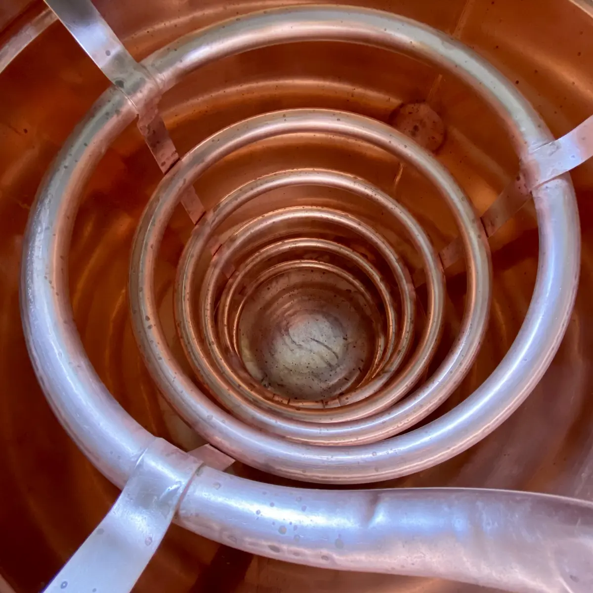 Mammenn distillerie - Pouldreuzic - Pays Bigouden