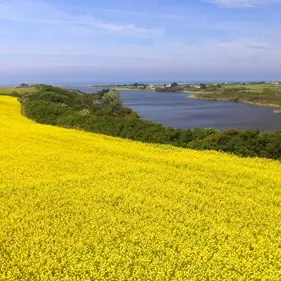 Boucle VTT n° 4 Des étangs - Tréméoc - Pays Bigouden