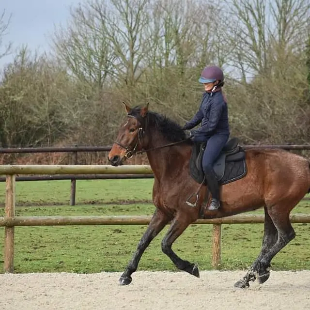 Centre équestre Kervignon - Plobannalec Lesconil - Pays bigouden - Bigoudenjoy