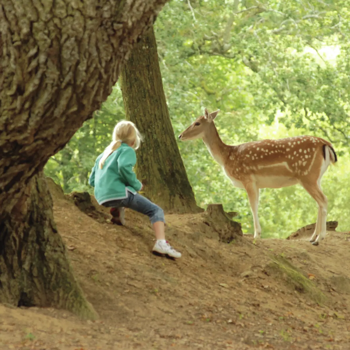 Parc du Quinquis