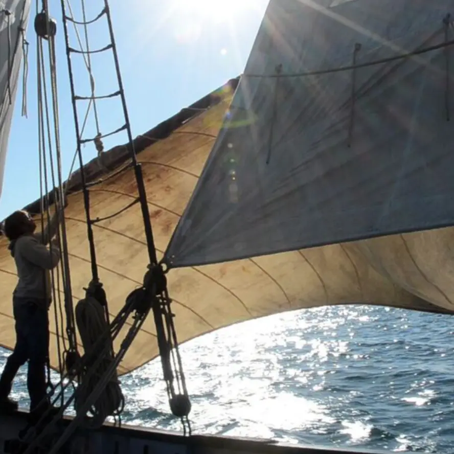 Croisière maritime - Concarneau - Voilier Corentin - Lougre - 3
