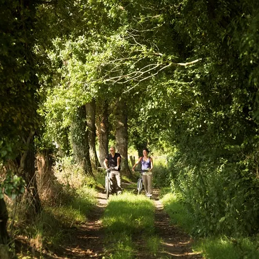 La Baussaine3 ©Rodolphe Marics