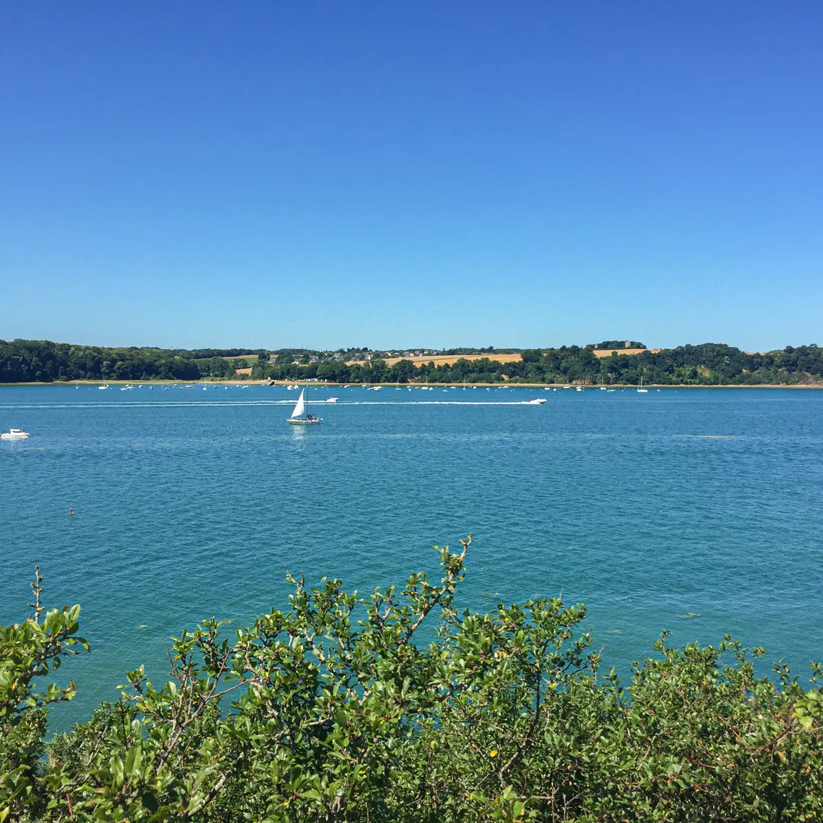 ©SMBMSM - Vue Rance - La Ville-es-Nonais