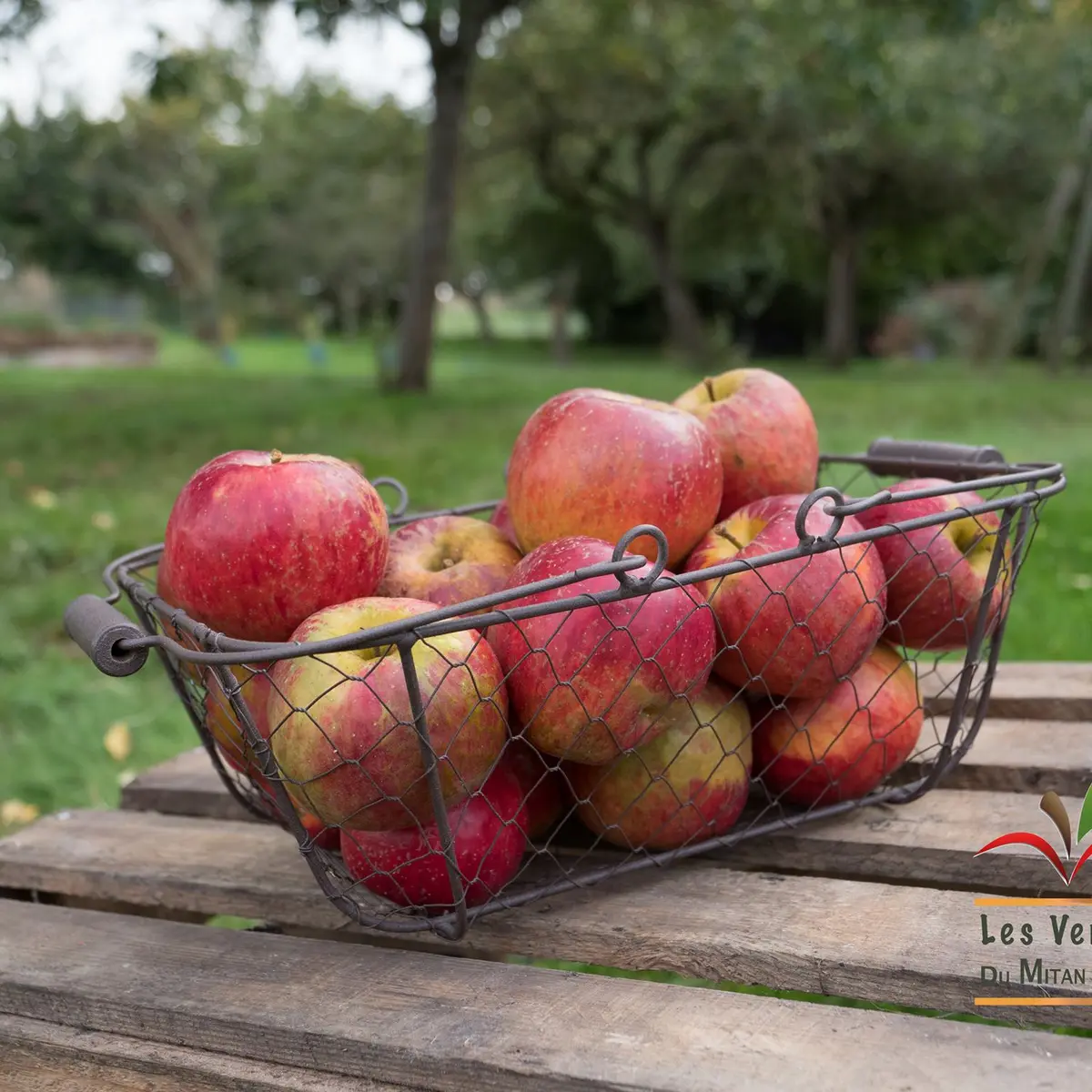 Les Vergers du Mitan Cranne
