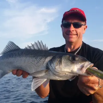 Guide de Pêche Glénan Aventure Pêche - Loctudy - Pays Bigouden - Bigoudenjoy