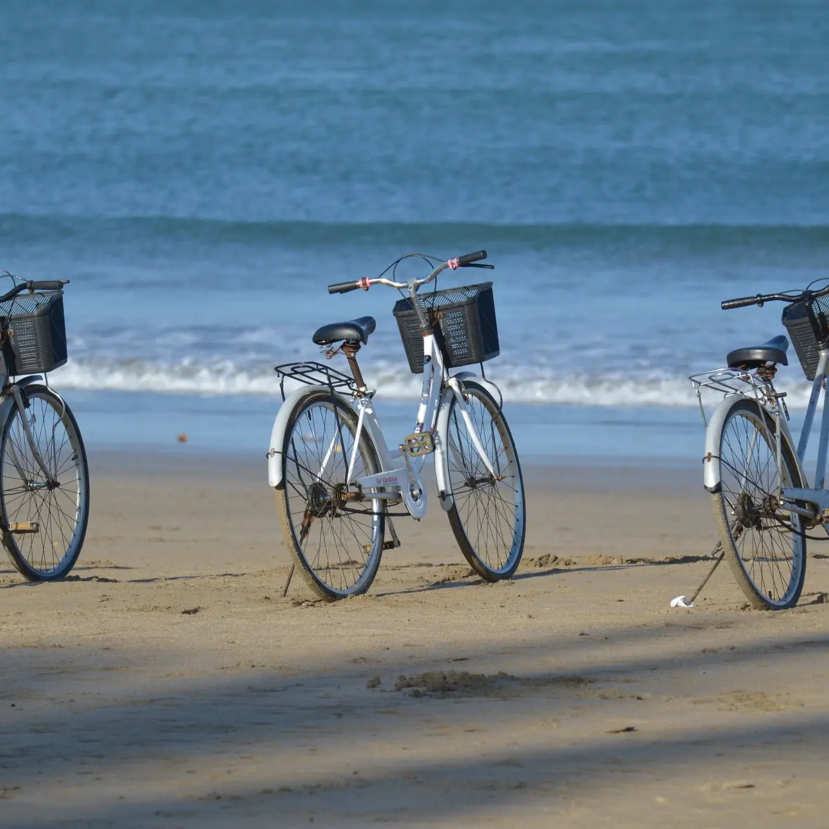 Location velo