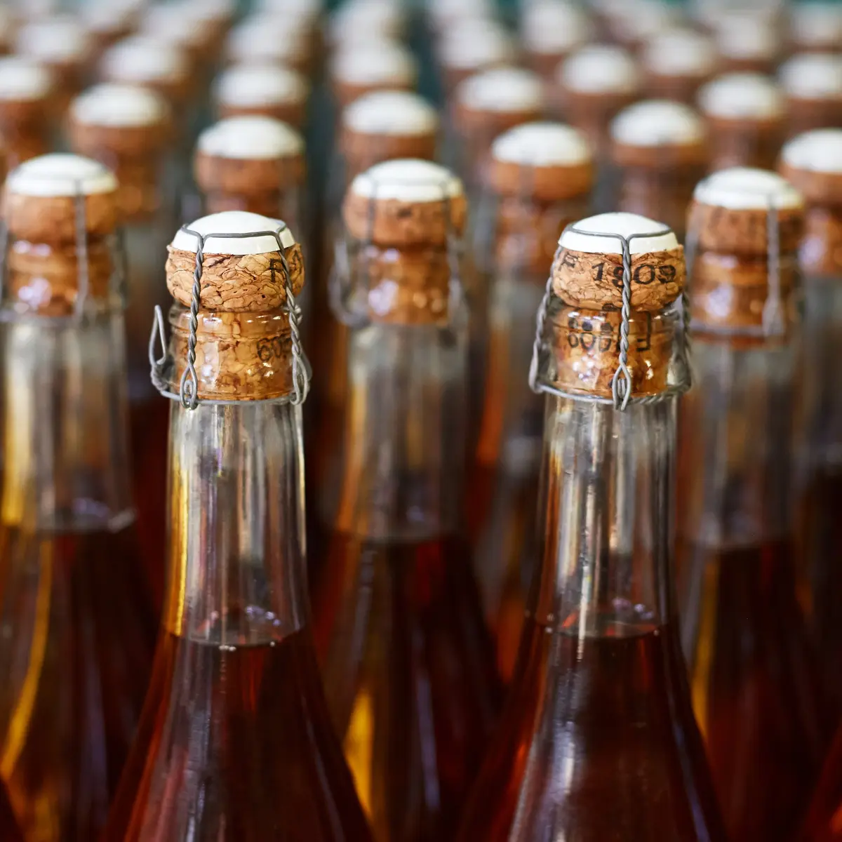 Maison de Perguet_004