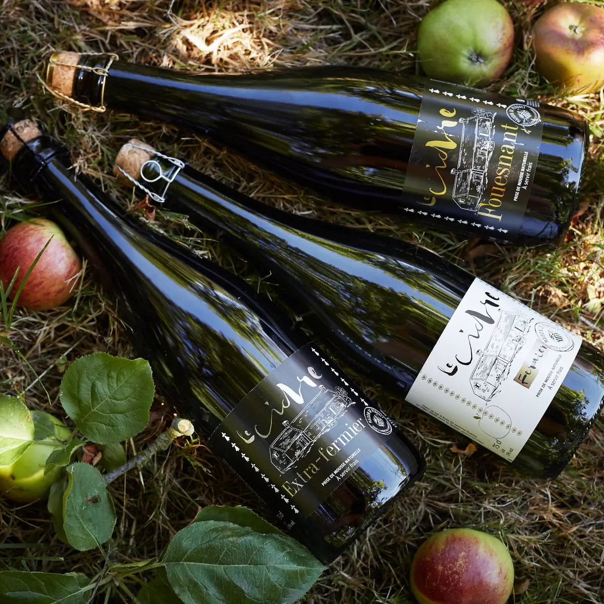 Maison de Perguet_024