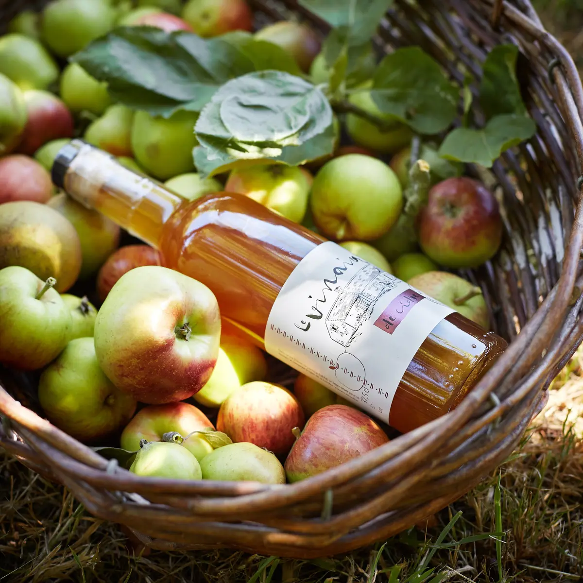 Maison de Perguet_029