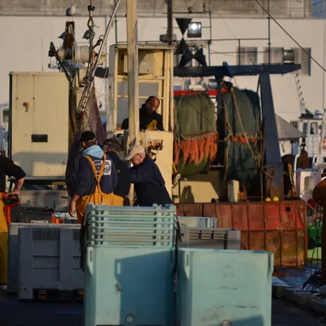 OTDZ - Douarnenez Port de pêche visite guidée - 11-07-2013 (42)