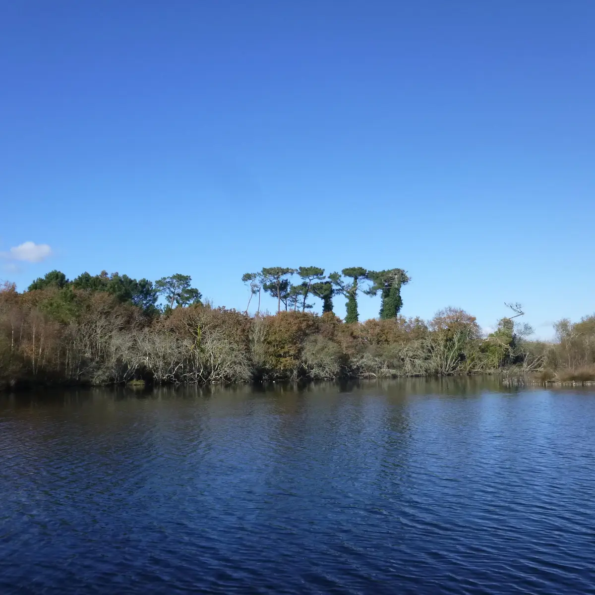 Marais de Mousterlin 1