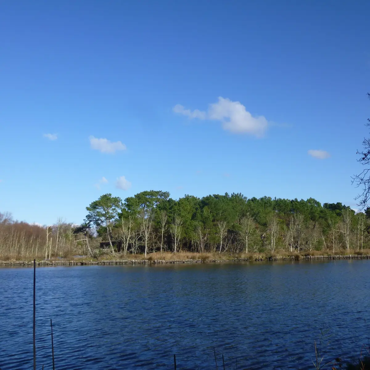 Marais de Mousterlin 3