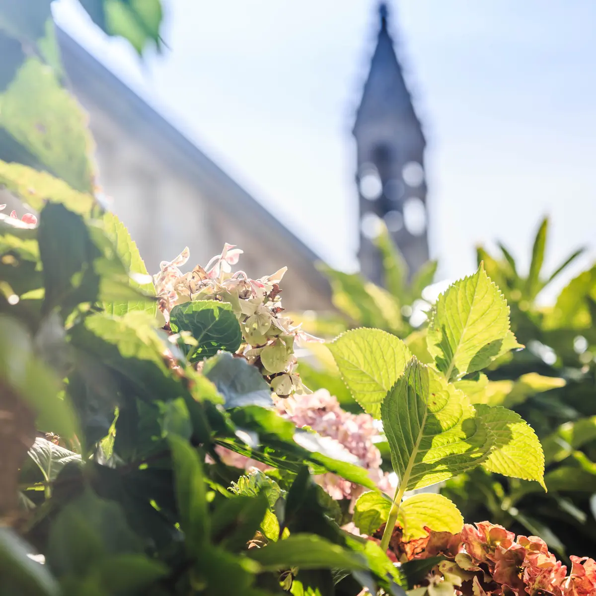 CHAPELLE DU SACRE COEUR - PONT-L'ABBE - PAYS BIGOUDEN SUD