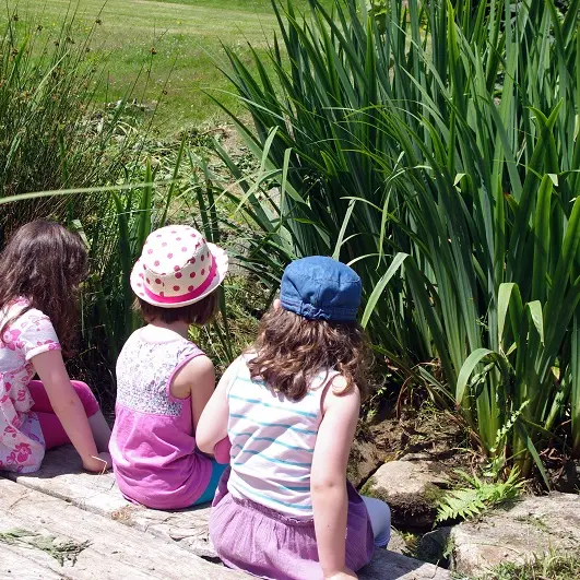 Parc Raphalen - Ploneour-Lanvern-Pays Bigouden-2