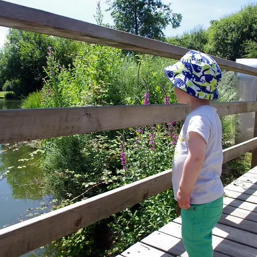 Parc Raphalen - Ploneour-Lanvern-Pays Bigouden-3