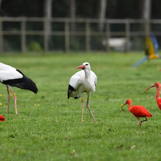 Parc et jardins de la Bourbansais