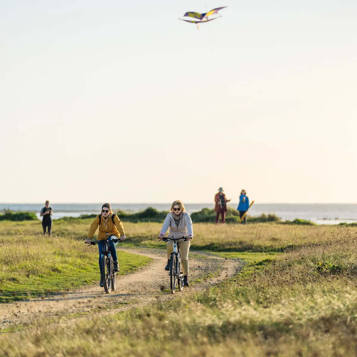 Boucle vélo n°7 Les mégalithes - Penmarc'h - Pays bigouden