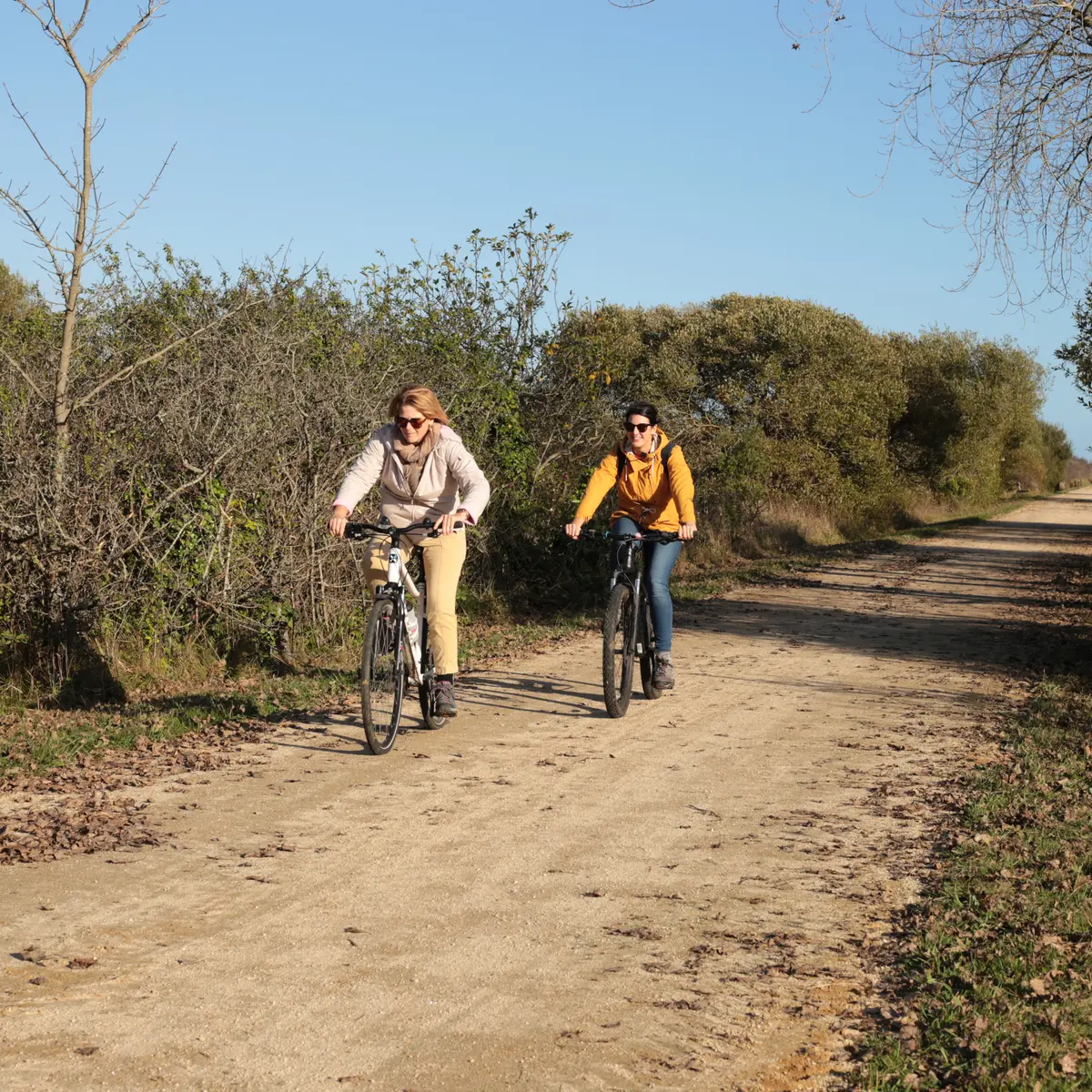 Itinéraire cyclable du Train Birinik n°2902 - Pont-l'Abbé - Saint-Guénolé