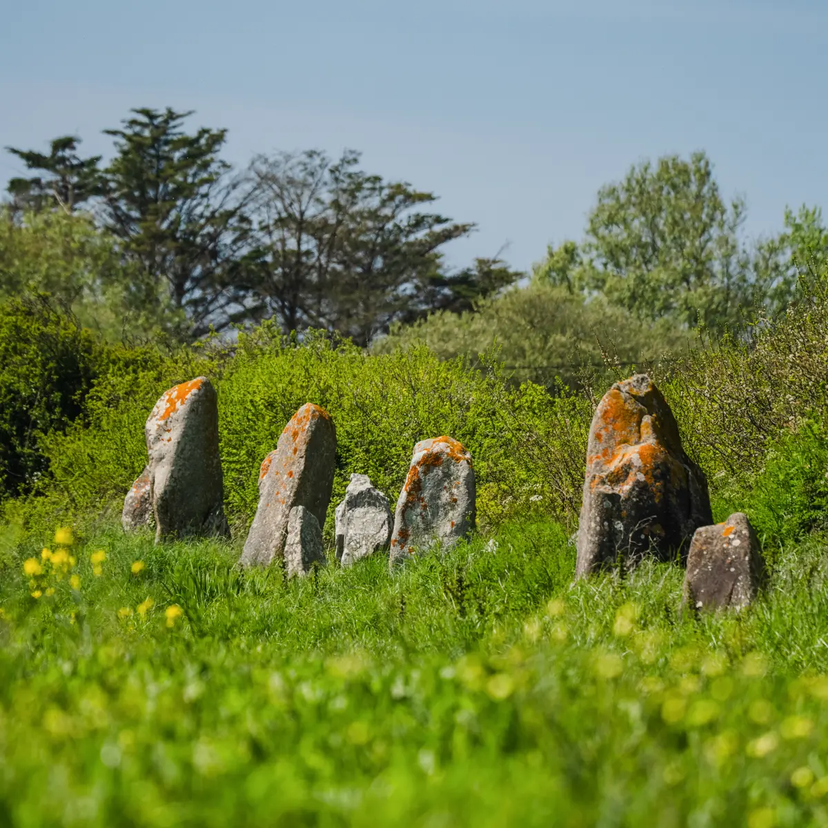Boucle vélo n°7 Les mégalithes - Penmarc'h - Pays bigouden