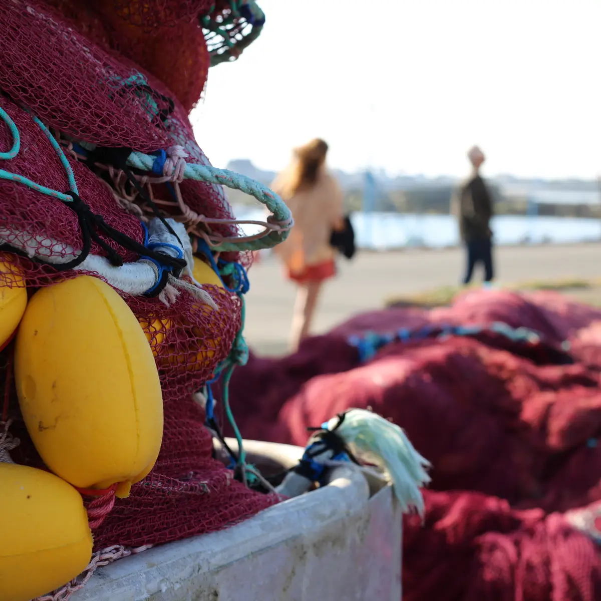 Port de pêche de Saint-Guénolé Pays Bigouden sud