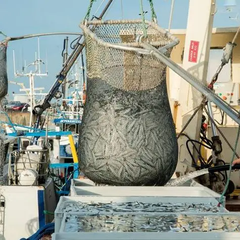 Port de pêche de Saint-Guénolé Pays Bigouden sud