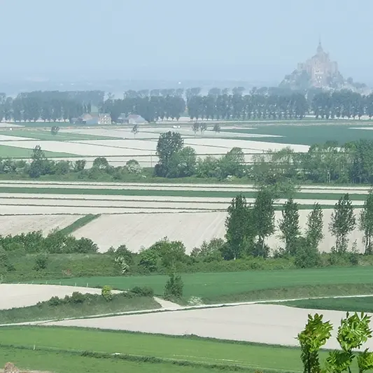 Vue sur le Baie du Mont-Saint-Michel