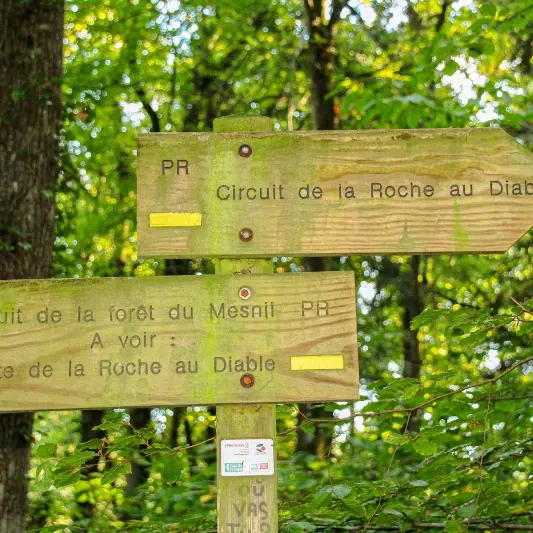 Flèche Forêt du Mesnil