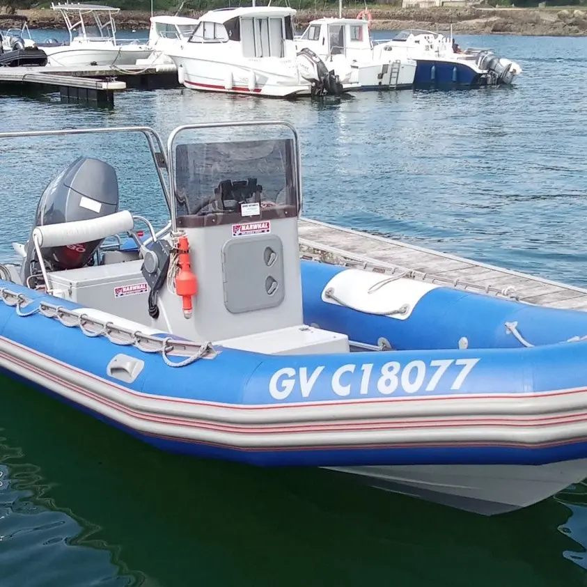 Location de 2 bateaux avec permis