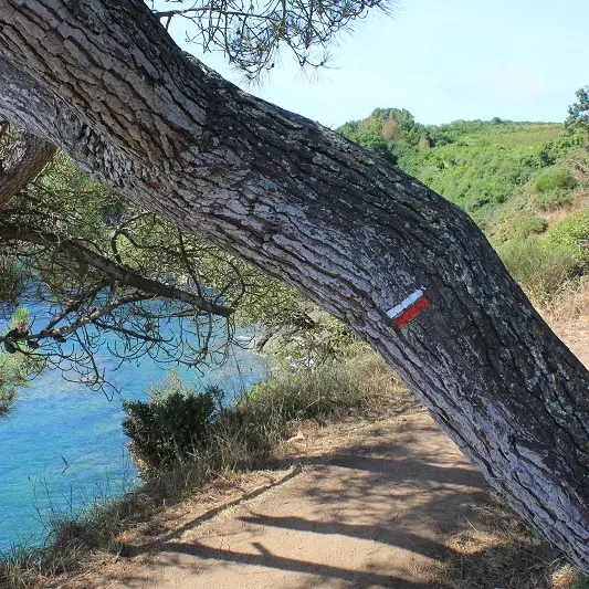 Sentier des Douaniers