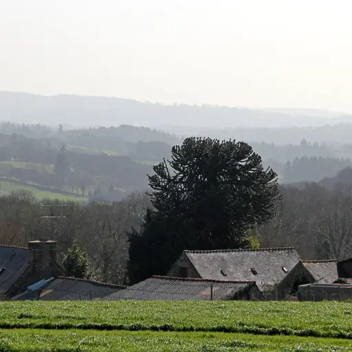 Sur les Pas St Lavan