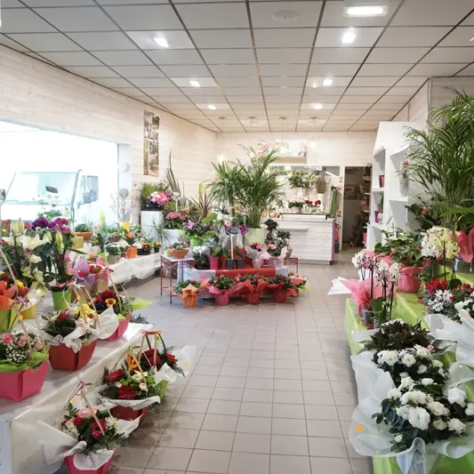 U-Express---Pont-l-Abbe---Pays-Bigouden---2