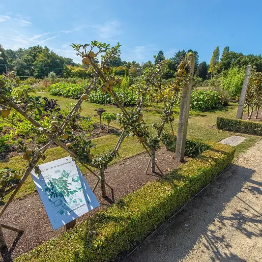 Verger et potager de la Bourbansais