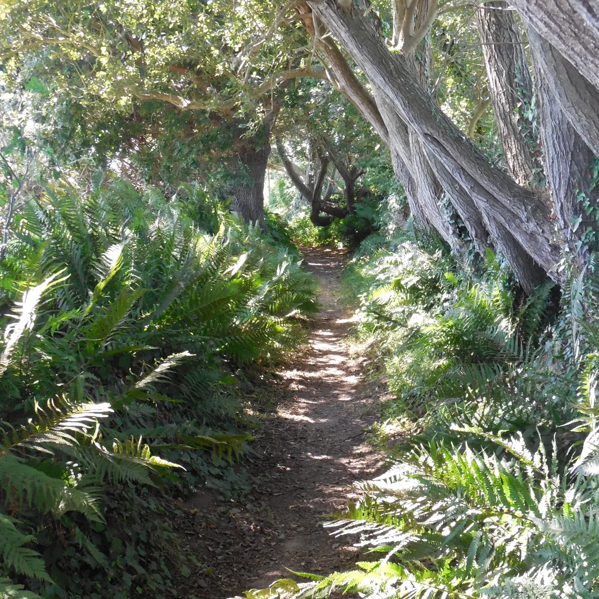 accès Chapelle de Bouan